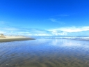 whangarei (47)
